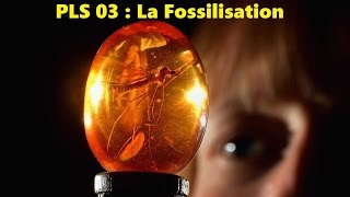 PLS 03  La Fossilisation [upl. by Elonore849]