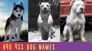 20 Coolest STRONG DOG NAMES Male [upl. by Bobbette477]