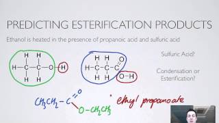 10 Esterification [upl. by Ammon]