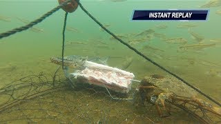 CRABBING MANDURAH WA  GoPro CrabNET  Super Clear HD Vision [upl. by Eenej538]