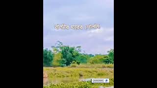 বিশ্ব নবী সাঃ কি বলতেন।। what said prophet muhammad mizanurrahmanazhariislamicshorts duaAaaitv [upl. by Monica]