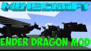 quotEnder Dragon Mod for Minecraftquot  Tameable Dragons with New Movements [upl. by Eedyak]