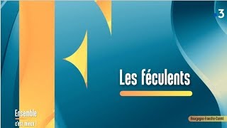 Les féculents avec une diététiciennenutritionniste  Ensemble cest mieux [upl. by Atiken252]