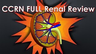 CCRN Renal Review  FULL [upl. by Novrej565]