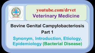 Bovine genital campylobacteriosis Part 1 synonym introduction etiology epidemiology [upl. by Zoller642]