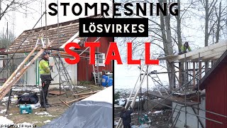 Stomresning stallFrån Torp Till Hus 59 [upl. by Ruthy]