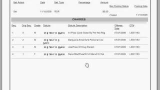 How to read a docket sheet [upl. by Ahseel]