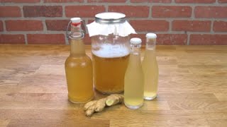 Water Kefir Ginger Tonic [upl. by Leiad518]