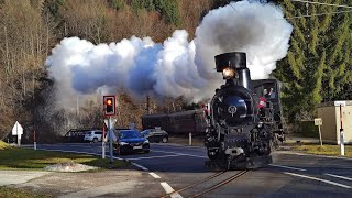 Dampflokomotive mit Ötscherbären [upl. by Mook671]