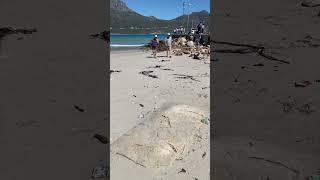 Azania Uploaded Hout bay  Touring mothercity vacation shorts [upl. by Salomon]