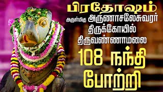 🔴 LIVE SONGS  பிரதோஷம் 108 நந்தி போற்றி  திருவண்ணாமலை அருள்மிகு அருணாச்சலேஸ்வரர் கோயில் [upl. by Udela]