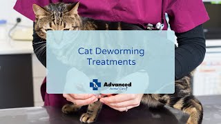 Cat Deworming Treatments [upl. by Vicki]