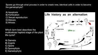 Sporic Meiosis quiz questions [upl. by Sherurd]