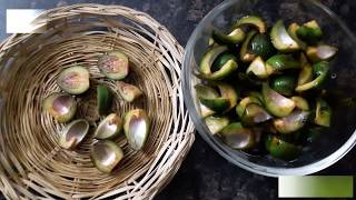 Semal doddae ki sabzi bombax ceiba Recipe Delicious  Chatpati Rare Indian Recipe [upl. by Attela379]