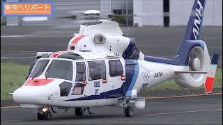 【ヘリコプター】 Airbus Helicopters AS365565 JA67NH （オールニッポンヘリコプター ）「OBS取材用ヘリ」の離着陸・東京ヘリポート HD 1080p [upl. by Teerell480]