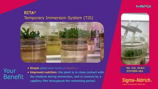 Boost your plant tissue culture yields with RITA®Temporary Immersion System TIS [upl. by Hnahk]