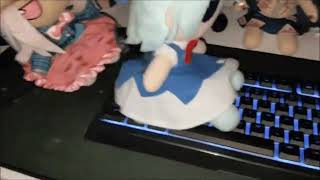 Cirno Typing  Baka Programming [upl. by Siramed]