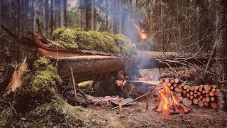 Bushcraft in a cold winter forest Build Primitive shelter for survival Survival skills in the wild [upl. by Yssej]