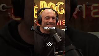 Is spicy food dangerous for you  Dr Andrew Huberman x Joe rogan [upl. by Hieronymus]