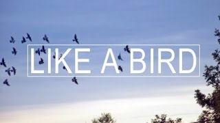 River Rhyme  Like A Bird Official Music Video [upl. by Amocat]