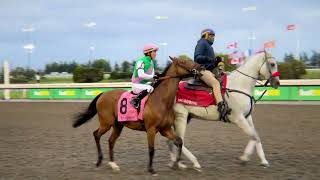 Gulfstream Park Replay Show  October 13 2024 [upl. by Mikael956]