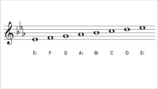 E Flat Major Scale and Key Signature The Key of Eb Major [upl. by Whipple330]