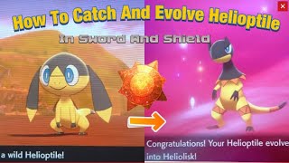 HOW TO GET Helioptile And Evolve It Into Heliolisk In Sword And Shield [upl. by Einitsed]