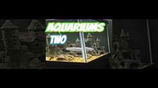 AMAZING 125 GALLON AQUARIUM SETUP  55 GALLON AQUARIUM SETUP [upl. by Ycak]