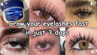 HOW I GROW MY EYELASHES IN JUST 3 days naturally [upl. by Bensky]