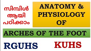 Arches of the foot explained in Malayalamnursesmotive36899 [upl. by Buatti]