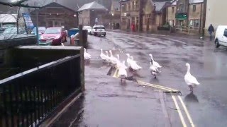 Sowerby Bridge floods Calderdale West Yorkshire 9am 261215 [upl. by Rosenberg785]