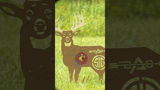 Compound bow vs Steel target hushlife elkcountry deer bowhunting [upl. by Abbe]