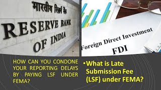 What is Late Submission Fee LSF UNDER FEMA How to Condone your reporting delays by paying LSFto RBI [upl. by Ecertak]