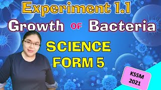 Experiment 11 World of Microorganism Science KSSM form 5 [upl. by Faucher]