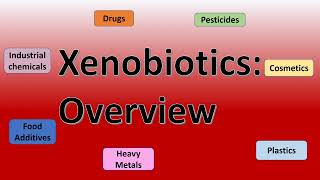 Principle of Biodegradation of PesticideXenobiotics [upl. by Oflunra]