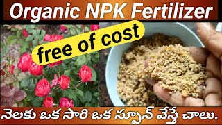 రూపాయి ఖర్చు లేదు6 నెలలు స్టోర్ చేసుకోవచ్చుHome made Organic NPK Fertilizer gardening gardentips [upl. by Lacsap990]