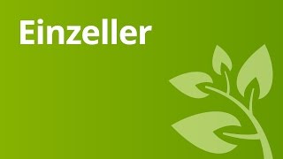 Wie Einzeller leben  Biologie  Biologie der Zellen [upl. by Saleme]