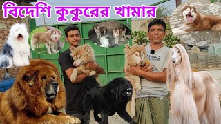 Biggest Dog From in Bangladesh  Dog price in Bangladesh  Big Dog [upl. by Arand]