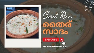 Thayir Sadam  Curd Rice  Thair Sadham  Thairu Sadham  Curd Rice Recipe in Malayalam  Homemade [upl. by Stambaugh]