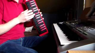 Hohner Fire 32 Student Melodika und Yamaha PSR 3000 [upl. by Felipa]