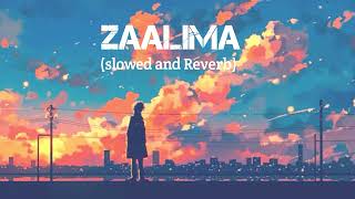 Zaalima  slowed and Reverb songs [upl. by Nair]