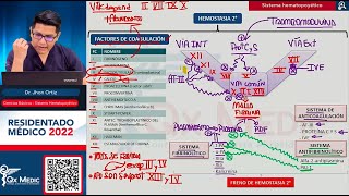 BÁSICAS I  HEMATOLOGÍA [upl. by Annert]