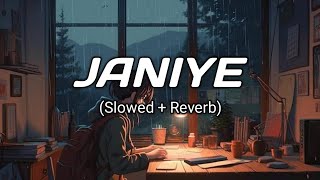 Janiye Slowed  Reverb । Vishal Mishra । full song [upl. by Mohamed]