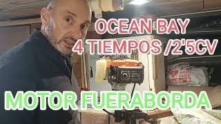 72 MANTENIMIENTO MOTOR FUERABORDA OCEAN 25 CV 4 TIEMPOS [upl. by Antony]