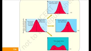 EvolutionCONCEPT GRAPH on Natural selection NEET [upl. by Nahoj480]