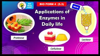 BIOLOGY FORM 4 53 APPLICATIONS OF ENZYMES IN DAILY LIFE [upl. by Earehc]