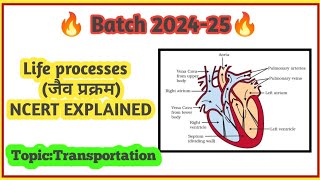 Life Processes Full detailed explanation of Transportation with NCERT activitiesCLASS 10 biology [upl. by Kenny]