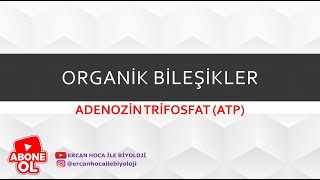 12 Organik Bileşikler ATP Ercan Hoca İle Biyoloji [upl. by Sonaj]