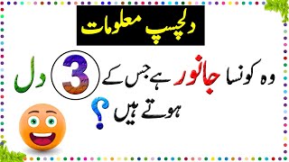 Paheliyan In Urdu  General Knowledge Questions And Answer  Facts About Animal Heart  Sky Ways [upl. by Bennion]