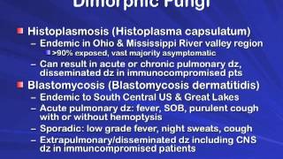 Infections in Immunocompromised Patients [upl. by Yt]